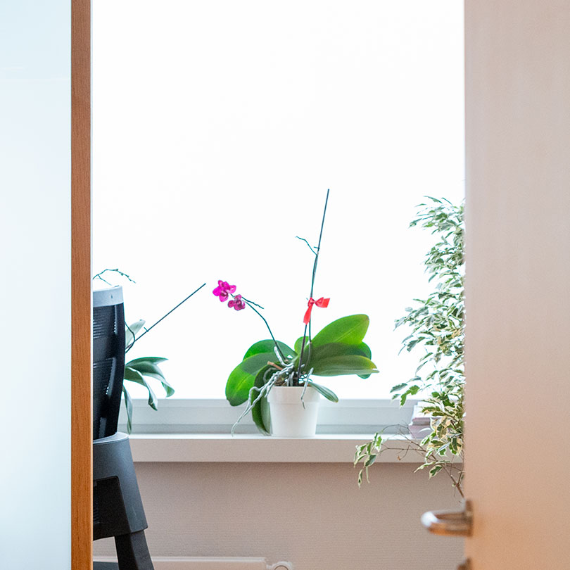 Expertise Femmily : HDJ (Hôpitaux de Jour)