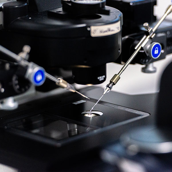 Expertise Femmily : Microbiologie