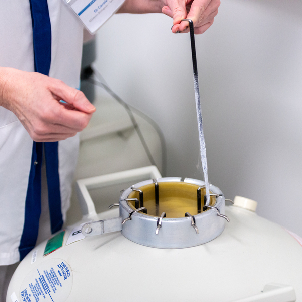 Expertise Femmily : Prélèvement de spermatozoides chirurgicaux