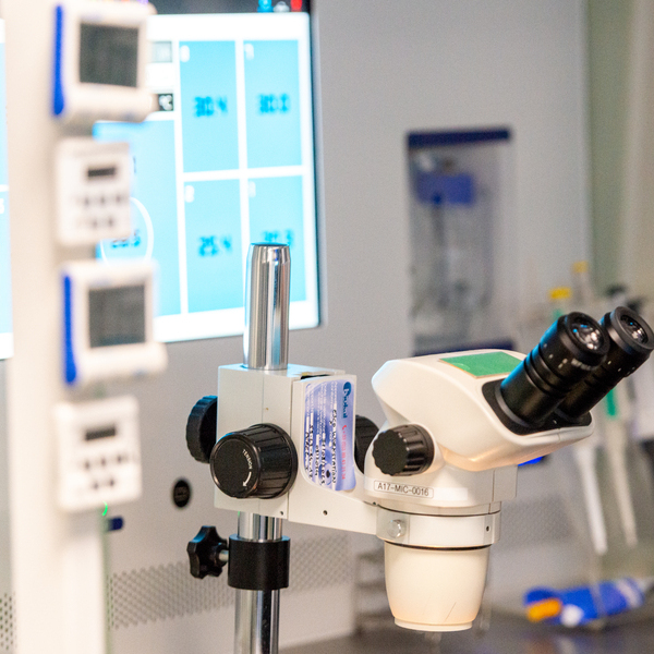 Expertise Femmily : Spermiologie Diagnostique